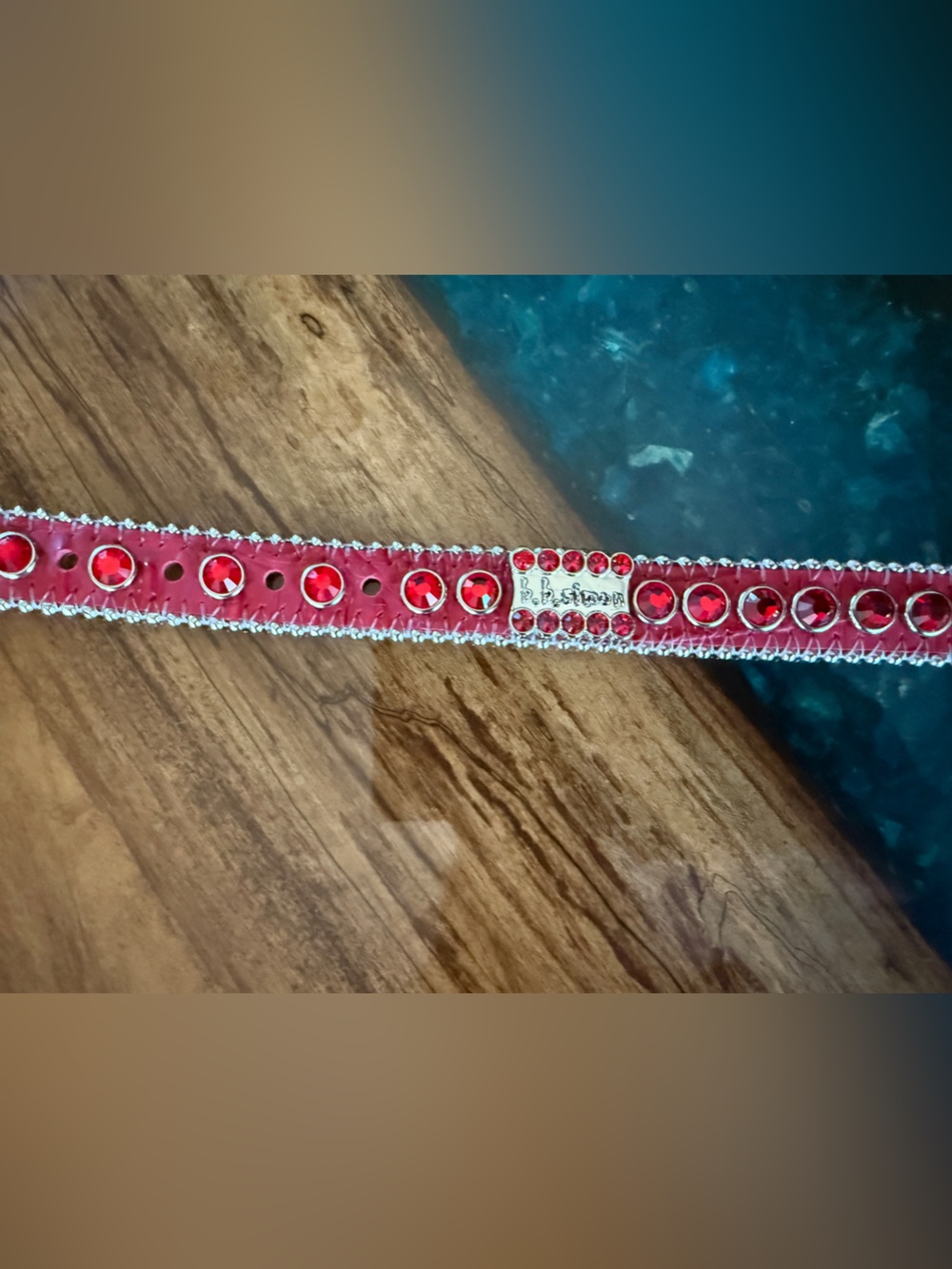 B.B. Simon Red Crystal Buckle and Strap Dog Collar - Picture 3 of 7